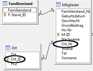 modell_fuer_kombifeld.gif