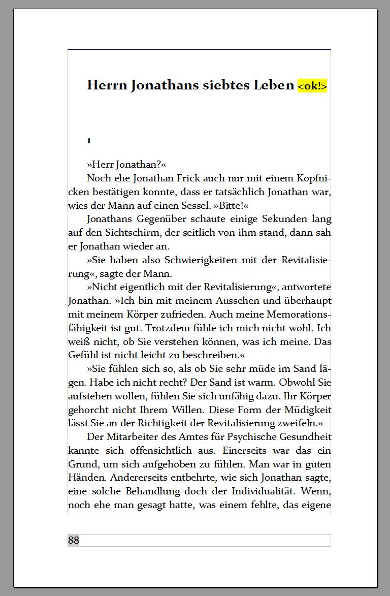 seitenspiegel_01.jpg
