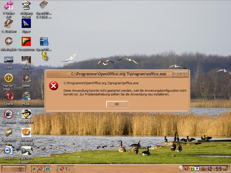 Fehlermeldung OpenOffice