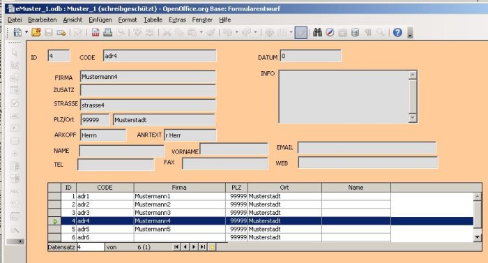 Datenbankfelder und unten mit einer Übersichtsliste aller Datensätze
