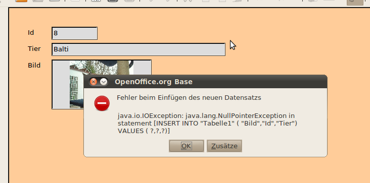 Screenshot imit Fehlermeldung