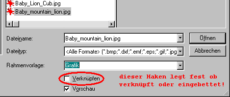 Bild einfügen oder verknüpfen_3.png