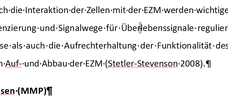 trennstriche.png