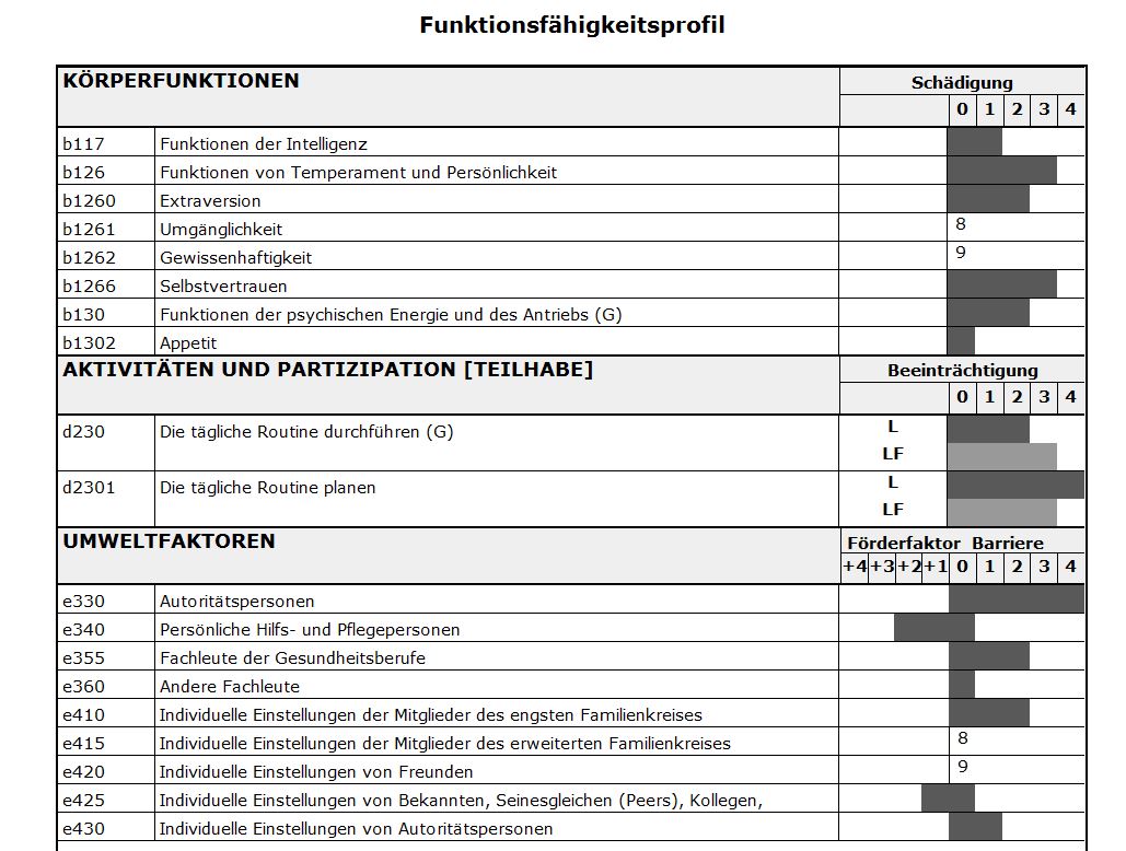 Fähigkeritenprofil.JPG