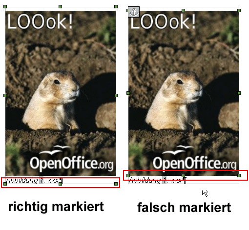 rf.gif